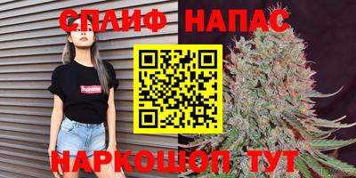 каннабис Славгород