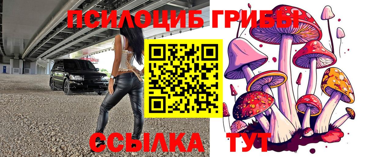 Псилоцибиновые грибы Magic Shrooms  Вход с VPN  Псилоцибиновые грибы MAGIC MUSHROOMS  Реж 