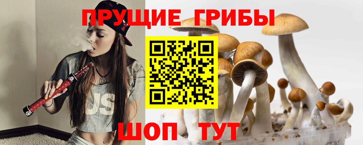 Псилоцибиновые грибы MAGIC MUSHROOMS Реж